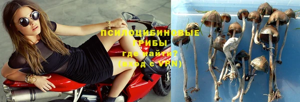 дмт Белоозёрский