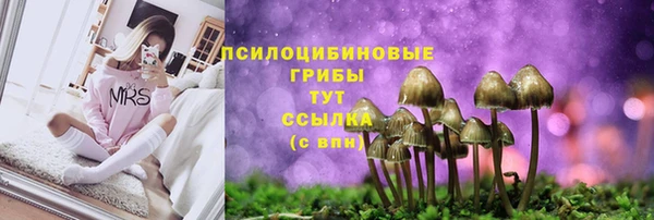 дмт Белоозёрский