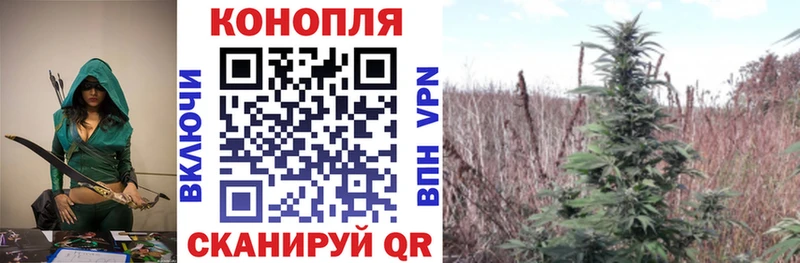 Бошки марихуана LSD WEED  shop какой сайт  Вытегра  где можно купить   ОМГ ОМГ ТОР 